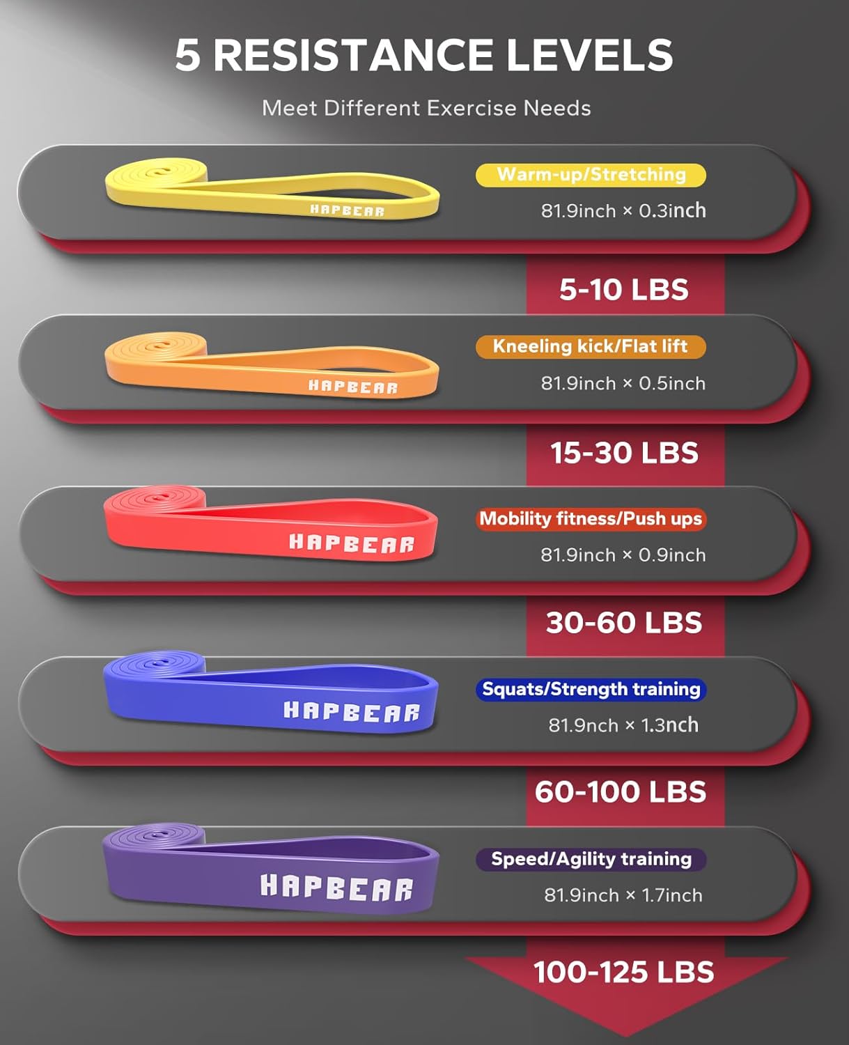 Pull up Assistance Bands Set of 5 - Resistance Bands for Working Out, Stretching, Physical Therapy, Muscle Training